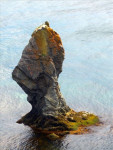 Skerwink Trail